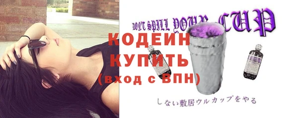 сатива Арсеньев