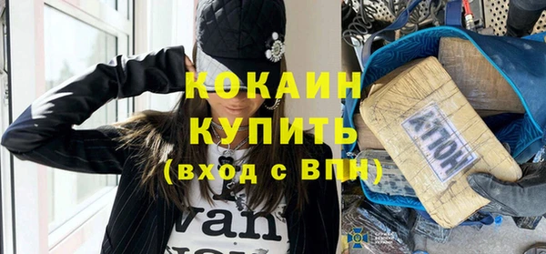 сатива Арсеньев