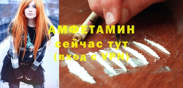 сатива Арсеньев