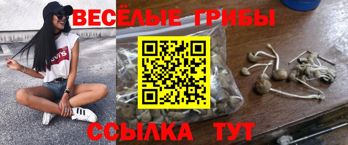 Псилоцибиновые грибы Magic Shrooms Джанкой